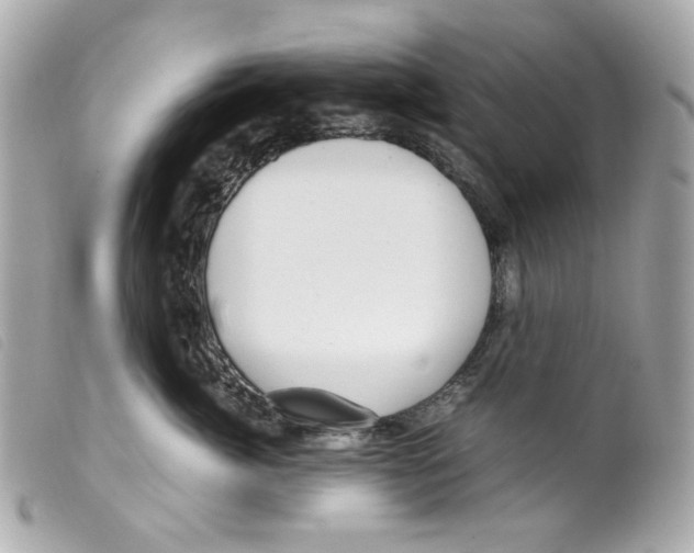 X0000099310764200805301154