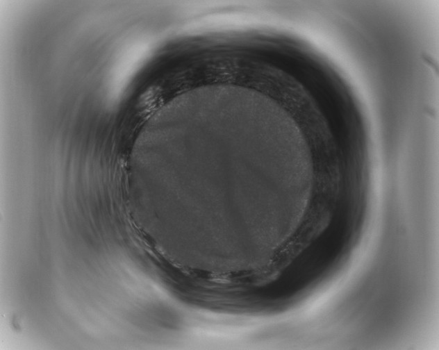 X0000099310766200805301154