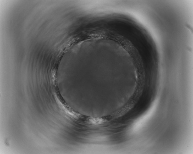 X0000099310767200805301154