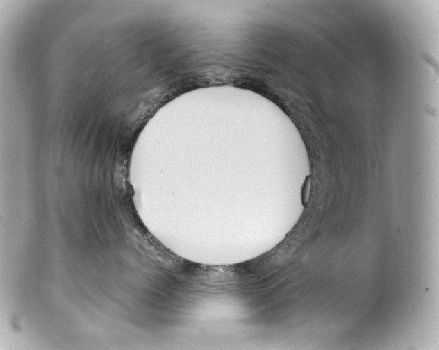 X0000099310768200805301154