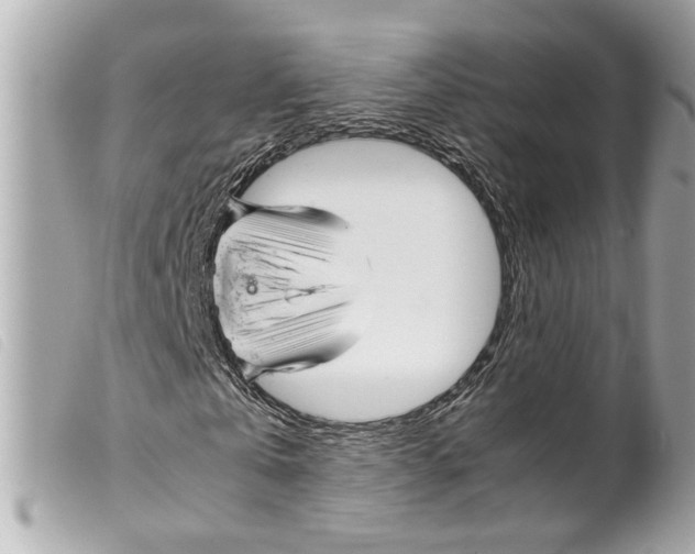 X0000099310769200805301153