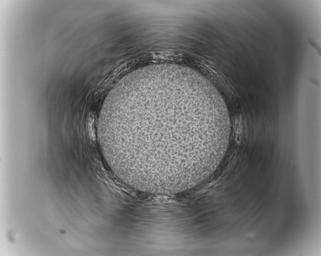 X0000099310770200805301153