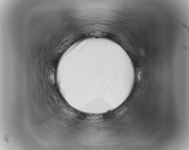 X0000099310771200805301153