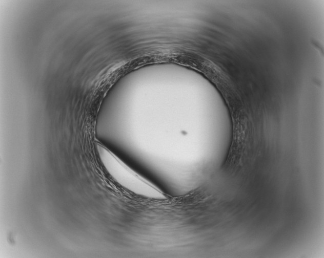 X0000099310773200805301153