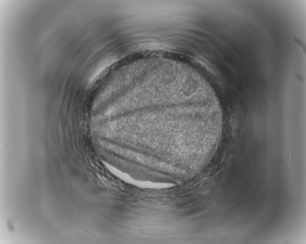 X0000099310775200805301153