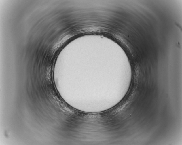 X0000099310778200805301153