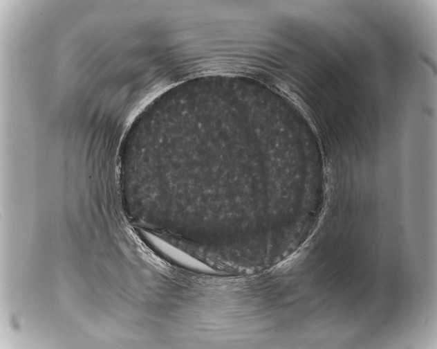 X0000099310779200805301153