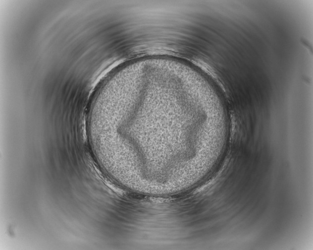 X0000099310782200805301153