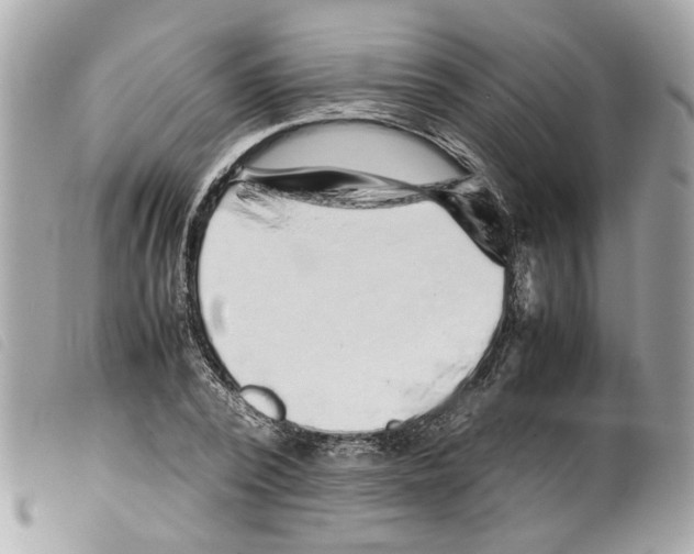 X0000099310784200805301153