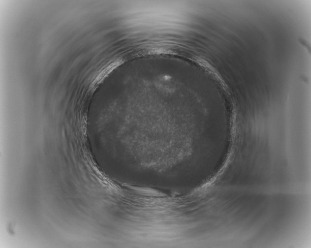 X0000099310785200805301153
