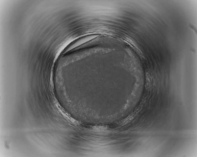 X0000099310788200805301153