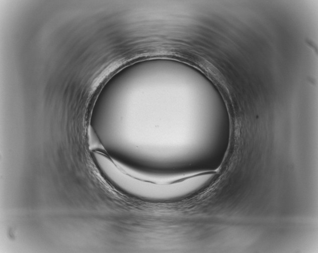 X0000099310789200805301153