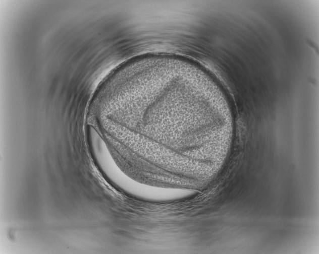 X0000099310791200805301153