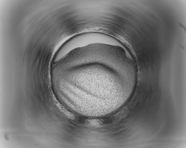 X0000099310792200805301153