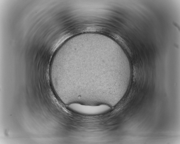 X0000099310794200805301153