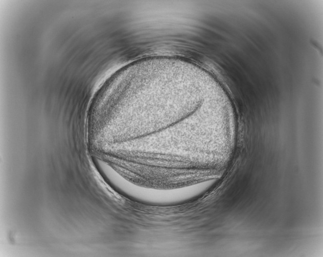 X0000099310795200805301153