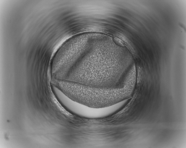 X0000099310796200805301153