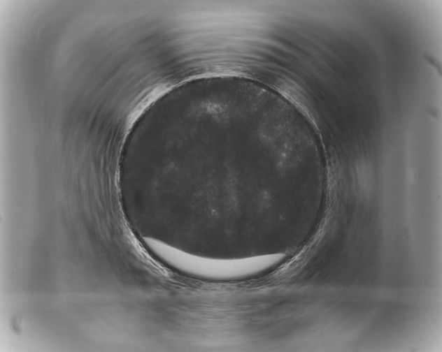 X0000099310797200805301153