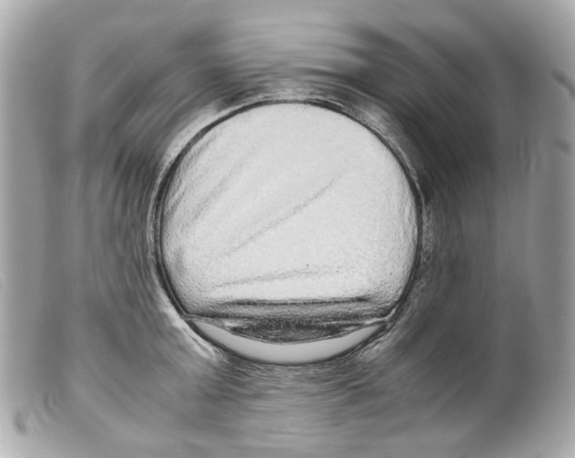 X0000099310803200805301153