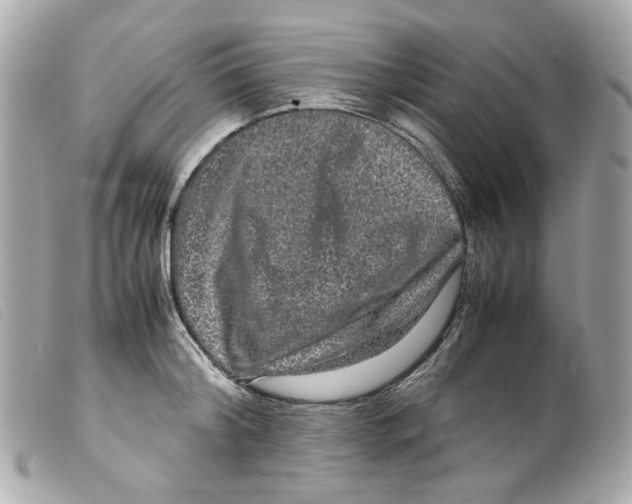 X0000099310804200805301153