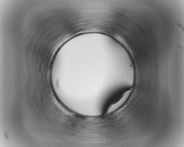 X0000099310805200805301153