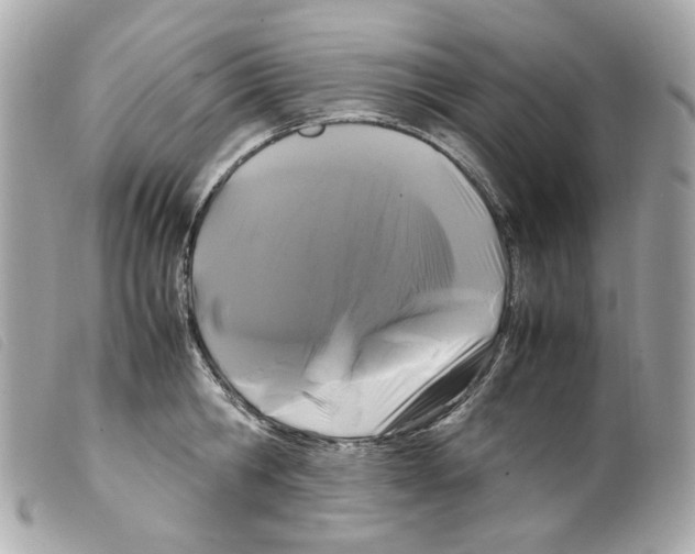 X0000099310806200805301153