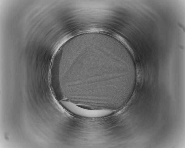X0000099310810200805301153