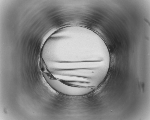 X0000099310812200805301153