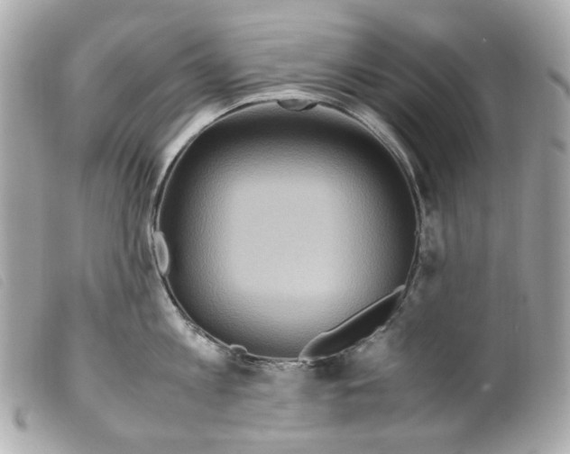 X0000099310813200805301153