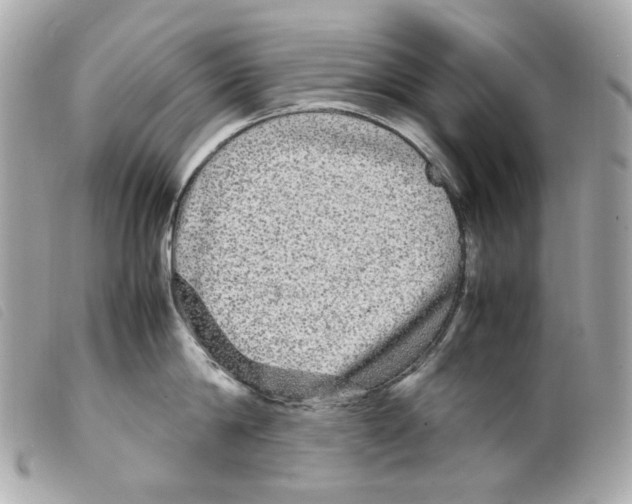 X0000099310814200805301153