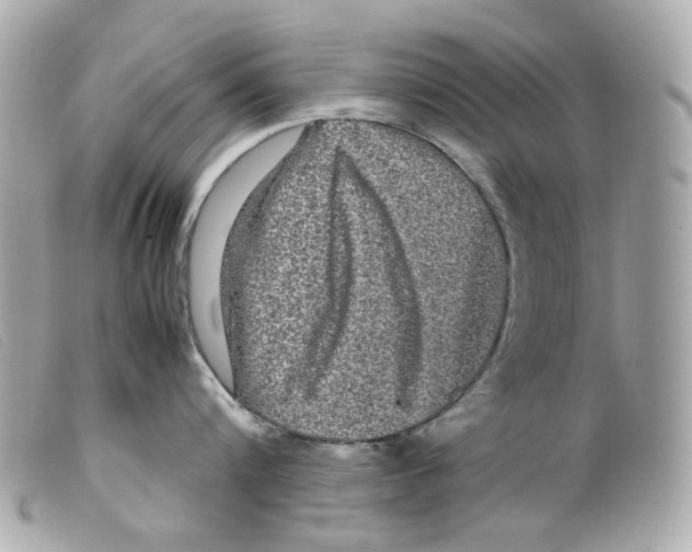 X0000099310816200805301153