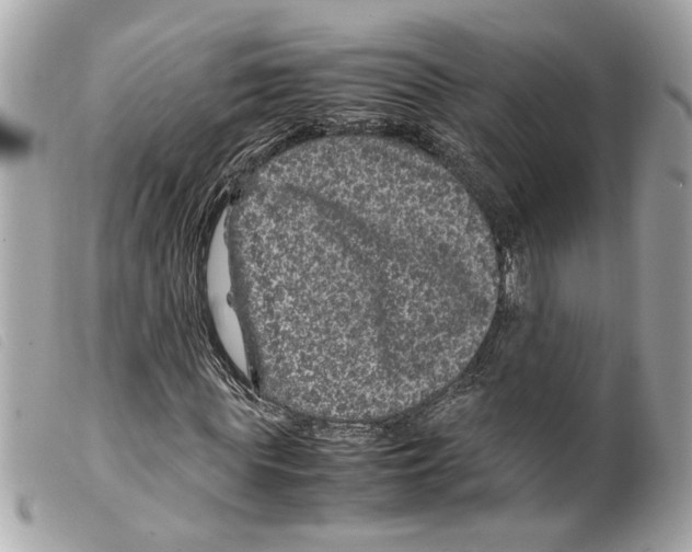 X0000099310819200805301152