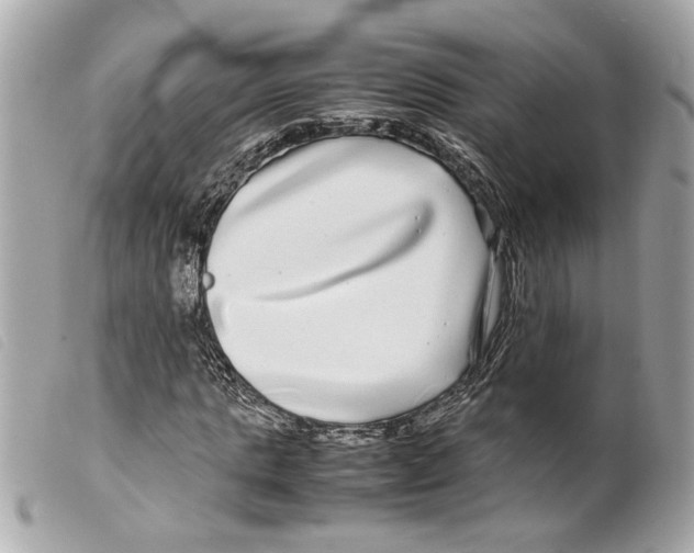 X0000099310821200805301152