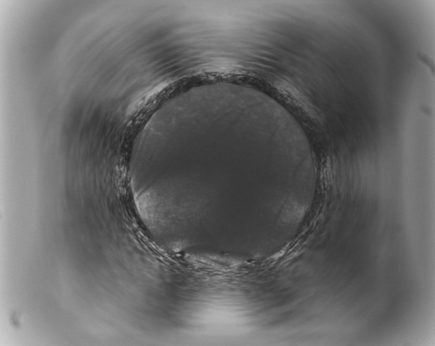 X0000099310822200805301152