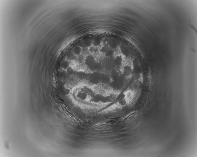 X0000099310823200805301152
