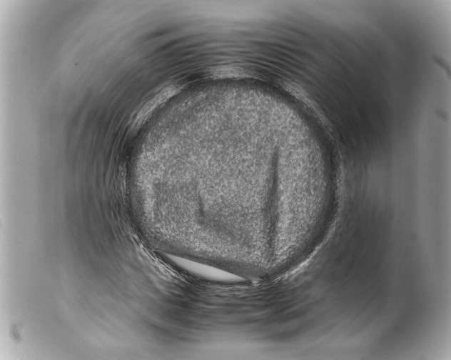 X0000099310825200805301152