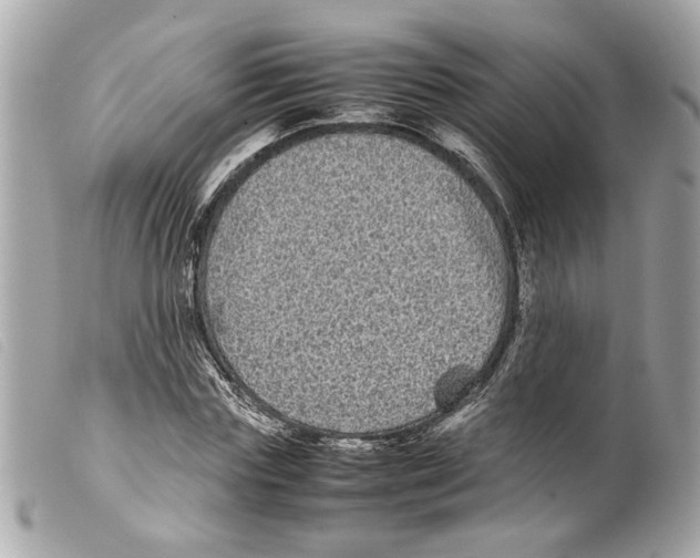 X0000099310827200805301152