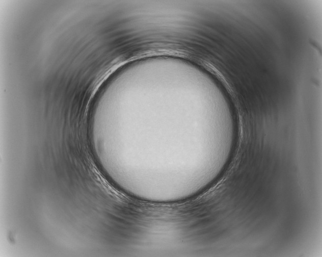 X0000099310828200805301152