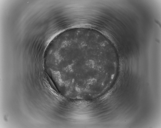 X0000099310830200805301152