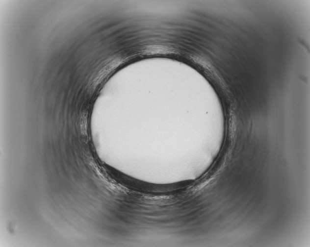 X0000099310833200805301152