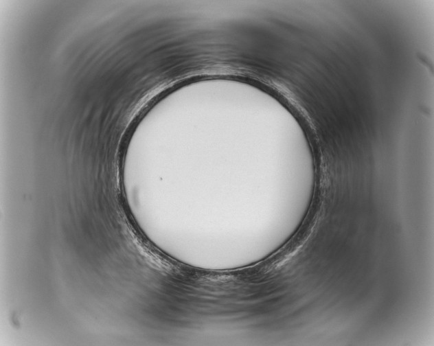 X0000099310837200805301152