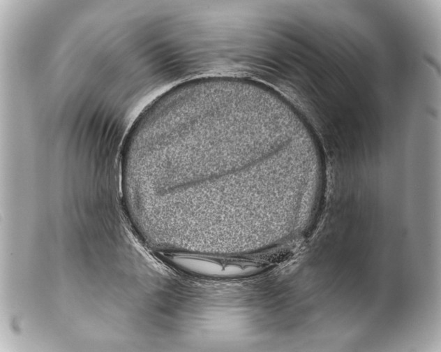 X0000099310838200805301152