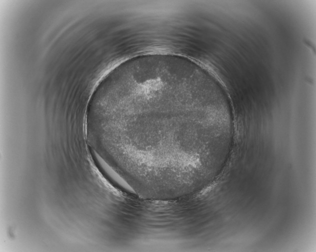 X0000099310839200805301152