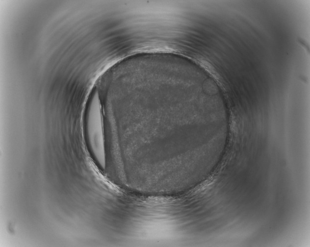 X0000099310840200805301152