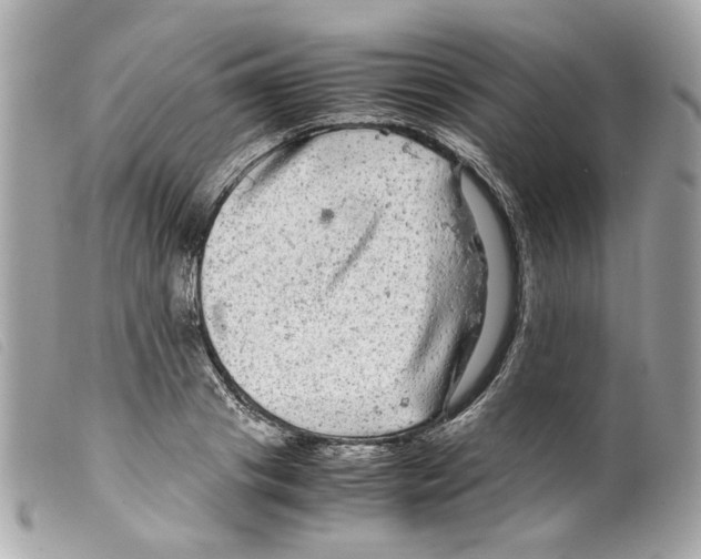 X0000099310841200805301152