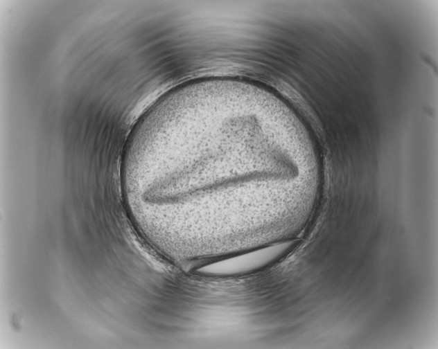 X0000099310842200805301152