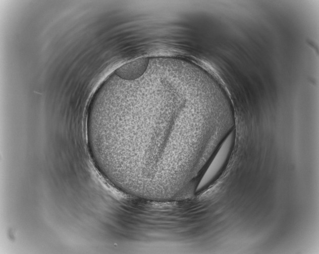 X0000099310843200805301152