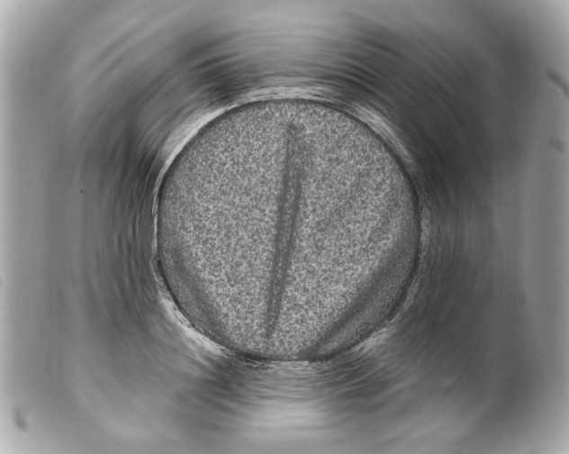 X0000099310844200805301153