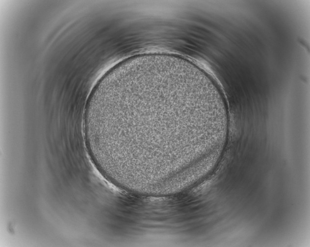 X0000099310847200805301153