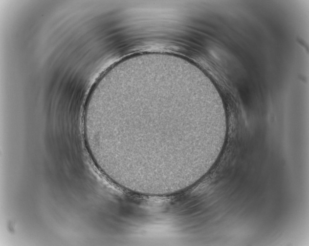X0000099310848200805301153